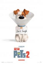 Watch The Secret Life of Pets 2 Vumoo