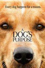 Watch A Dog's Purpose Vumoo
