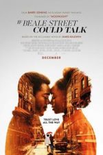 Watch If Beale Street Could Talk Vumoo