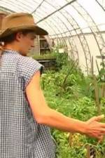Watch Green House Seeds Strain Hunters India Expedition Vumoo