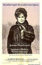 Watch Summer Wishes, Winter Dreams Vumoo