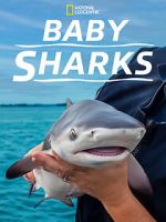 Watch Baby Sharks Vumoo