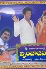 Watch Brundavanam Vumoo