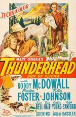 Watch Thunderhead: Son of Flicka Vumoo