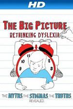 Watch The Big Picture Rethinking Dyslexia Vumoo