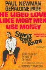 Watch Sweet Bird of Youth Vumoo