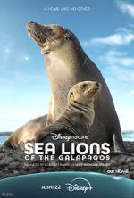 Watch Sea Lions of the Galapagos (TV Special 2025) Vumoo