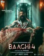 Watch Baaghi 4 Vumoo