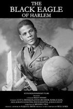 Watch The Black Eagle of Harlem Vumoo