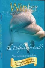 Watch Winter The Dolphin That Could Vumoo