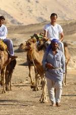 Watch Secrets Of The Arabian Nights Vumoo