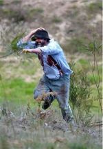 Watch Riot or Revolution: Eureka Stockade 1854 Vumoo