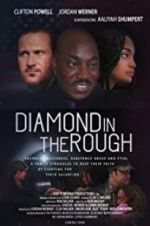 Watch Diamond in the Rough Vumoo