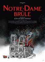 Watch Notre-Dame brÃ»le Vumoo