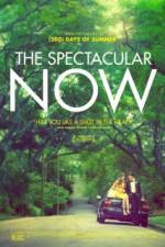 Watch The Spectacular Now Vumoo
