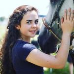 Watch Wildfire: The Legend of the Cherokee Ghost Horse Vumoo