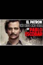 Watch The Rise and Fall of Pablo Escobar Vumoo