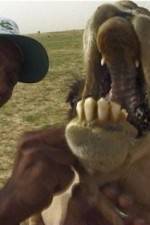 Watch With the Nomads Vumoo