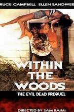 Watch Within the Woods Vumoo