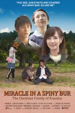 Watch Miracle in Kasama Vumoo
