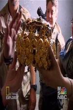 Watch Iraq's Lost Treasure Vumoo