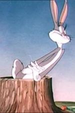 Watch The Unruly Hare Vumoo