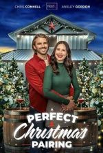 Watch A Perfect Christmas Pairing Vumoo
