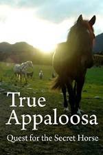 Watch True Appaloosa Vumoo