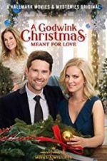 Watch A Godwink Christmas: Meant for Love Vumoo