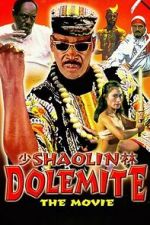 Watch Shaolin Dolemite Vumoo