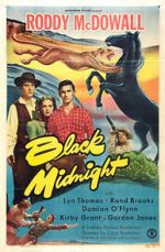 Watch Black Midnight Vumoo