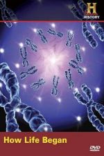 Watch How Life Began Vumoo