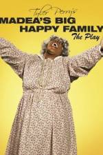 Watch Madea's Big Happy Family Vumoo