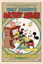 Watch The Wayward Canary Vumoo