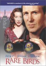 Watch Rare Birds Vumoo