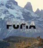 Watch Into the Puma Triangle Vumoo