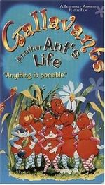 Watch Gallavants Vumoo