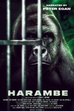 Watch Harambe Vumoo