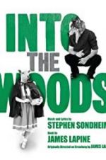 Watch Into the Woods Vumoo