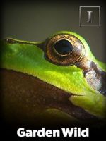Watch Garden Wild! Vumoo