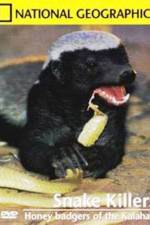 Watch National Geographic: Snake Killers Honey Badgers Of The Kalahari Vumoo