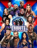 Watch WWE Tribute to the Troops Vumoo