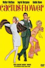 Watch Cactus Flower Vumoo
