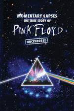 Watch Pink Floyd: Momentary Lapses - The True Story Of Pink Floyd Vumoo