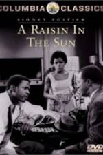 Watch A Raisin in the Sun Vumoo