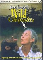 Watch Jane Goodall\'s Wild Chimpanzees Vumoo