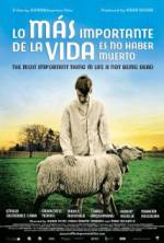 Watch The Most Important Thing in Life Is Not Being Dead Vumoo