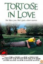 Watch Tortoise in Love Vumoo