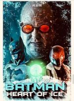 Watch Batman: Heart of Ice Vumoo