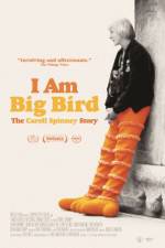 Watch I Am Big Bird: The Caroll Spinney Story Vumoo